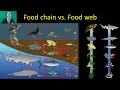 Ecosystem Components and Productivity