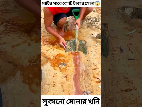 The Mission to Find Gold from Muddy Soil 😱~mini wood toy- woodworking art skill #shortvideo