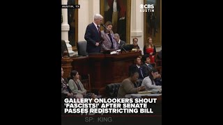 Texas Senate passes redistricting maps