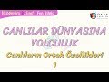 Bitkiler ve Canlıların Temel Özellikleri