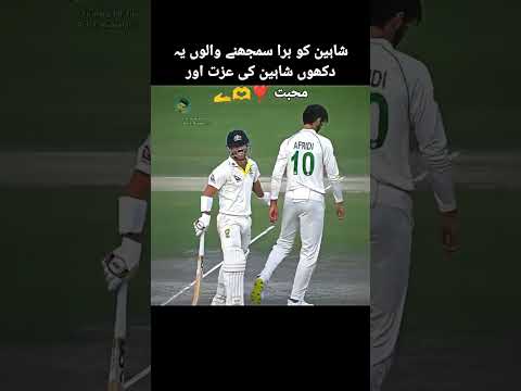 Shaheen X Warner Love Story π€π«β£οΈ #Cricket #Sports #trending #viralvideo #cricketlover #islam #naat