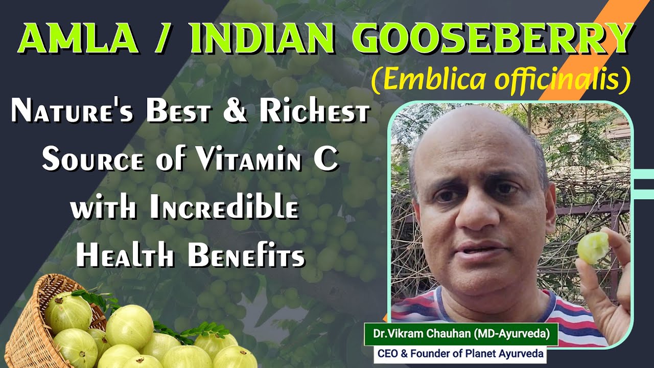 Watch Video Amla / Indian Gooseberry - Nature's Best Richest Source of Vitamin C with Incredible Health Benefits