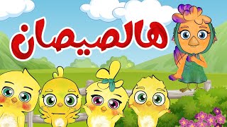 أغنية هالصيصان وانا الفرخة  شو حلوين | تن تن بيبي - Tn Tn Baby