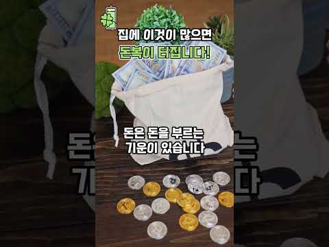 집에 이것이! 많으면 '돈복'이 터집니다 💰🍀 #풍수 #사주팔자 #운이좋아지는법