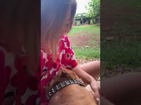 Scratching really hard, Mom! #Brian #DogLover #DogOwner #pets