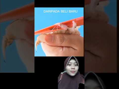DARIPADA BELI BARU, MENDING MANFAATKAN BARANG DIRUMAH