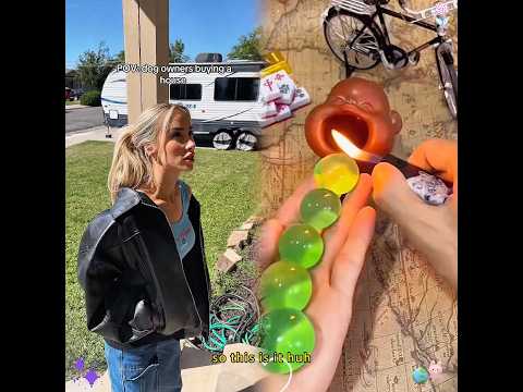 My priority #dogs #dogsoftiktok #dogowners #dogtok #funnydog #pets #dogcomedy