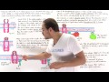 Insulin Signaling Pathway Concepts