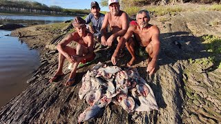 Uma das melhores pescaria muitas tilápias selvagem