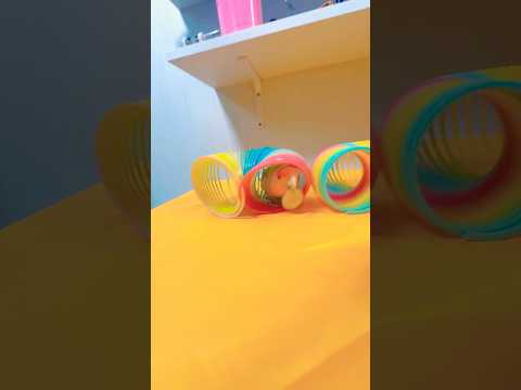 Bird Training:smart lovebird parrot l smart little cute parrot #training#smartparrot#cute