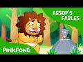 Lion and Mouse Story Questions