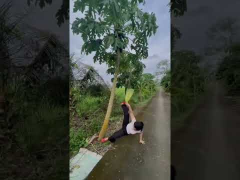 Thằng té thằng liệu