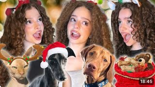 Türkçe altyazılı | kalogeras sisters BRING THEIR PETS CHRISTMAS SHOPPING!