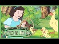Little Bear's Adventures and Lessons