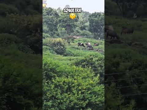 ๐คฏ 20x Zoom on Samsung S24 Ultra ๐ฅ ๐คซ ๐โโ๏ธ #s24ultra #Samsung #shortfeed #shorts #shortsvideos #trend