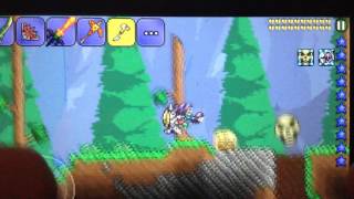Top 5 Rarest Items in Terraria!