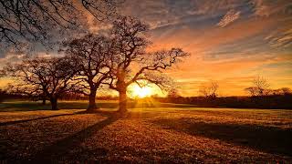 End of day reset meditation