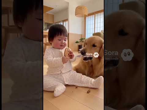 犬と赤ちゃんのおやつ #赤ちゃん #犬 #cute #pets #baby #dog