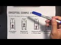 Elevator Forces and Scale Readings