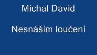 Michal David Nesnáším loučení