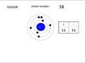 Cations, Anions, and Ionic Stability
