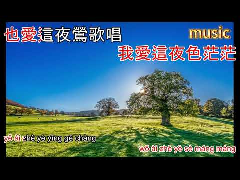 夜來香 – 鄧麗君KTV 伴奏 no vocal 無人聲 music 純音樂 karaoke 卡拉OK 伴唱夜來香 – 鄧麗君