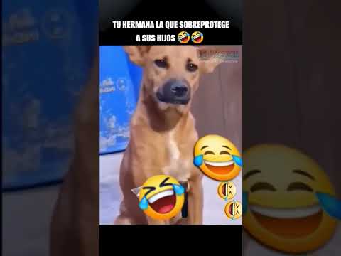 TU HERMANA LA QUE SOBRE-PROTEGE A SUS HIJOS #shorts