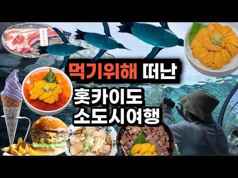 삿포로에서 갈 수 있는 홋카이도의 매력적인 3곳의 소도시 소개 : 하코다테, 아사히카와, 후라노