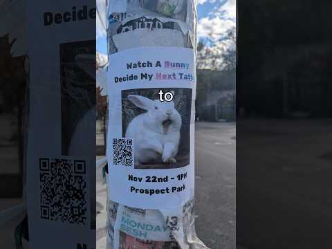 A bunny picked my tattoo.