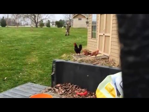 Greatest freakout ever 33 (ORIGINAL VIDEO)
