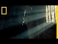 Survival Strategies in Captivity