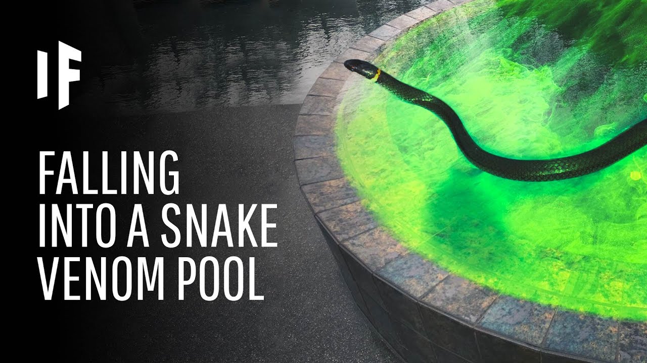 What Happens If You Fall Into a Pool Filled Snake Venom?