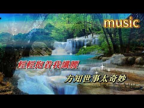 我的他阿龍 汪明荃KTV 伴奏 no vocal 無人聲 music 純音樂 karaoke 卡拉OK 伴唱我的他阿龍 汪明荃