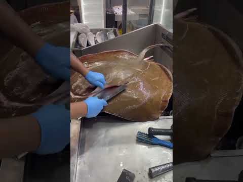 Most big stingray(pari)fish cutting Amazing skill#shorts