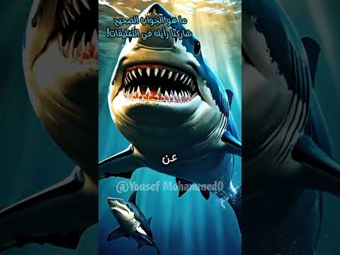 هل تعلم أن..؟معلومات مذهلة لم تكن تعرفها!اكتشف معنى #معلومات_وحقائق #معلومات_عامة#حيوانات #سهل