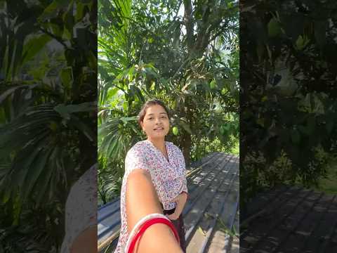সকালে উঠে দেখি সব তোলপাড় হয়ে গেছে😱 #youtubeshorts #viralshorts #shortsvlog #minivlog #mango