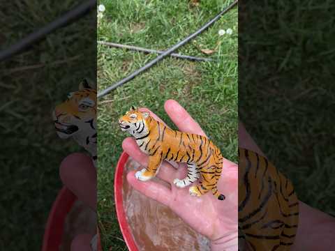 Oddly Satisfying Mud Cleaning | Revealing Hidden Treasures #oddlysatisfying #satisfying