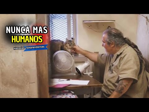 UNA CÁRCEL LLENA de GATOS… y lo que sucedió CAMBIÓ TODO 🐾😲