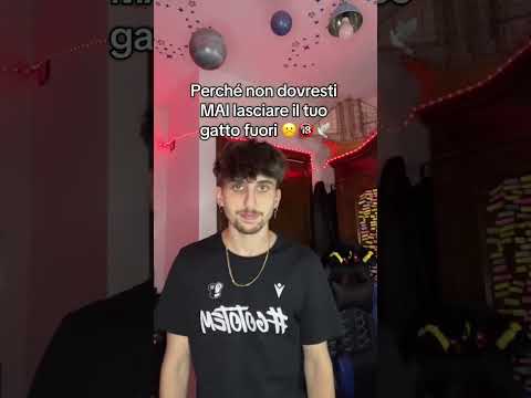 Perché non dovresti MAI lasciare il tuo gatto fuori☹️🔞🕊️ #humor