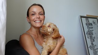 we got a puppy !