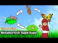 Butterfly Life Cycle and Behavior