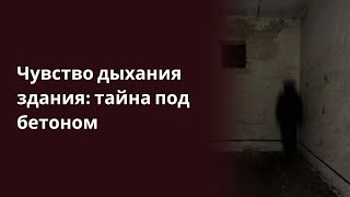 Чувство дыхания здания тайна под бетоном