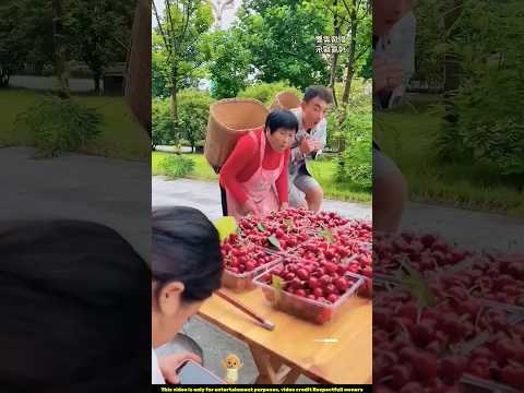 চেরি ফল চুরি? 🤔~mini wood toy-wood working art skill wood / hand crafts / #shorts #funny