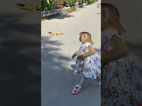 Monkey LyLy went to buy cake herself #shorts #monkey #youtubeshorts #viral #petmonkey #animals