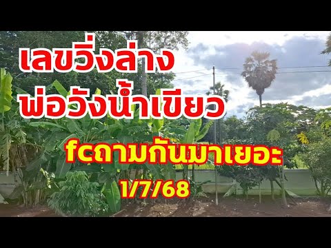 เลขวิ่งล่างพ่อวังน้ำเขียว สายวิ่งล่างถามมาเยอะ ตามต่อ 1/7/68