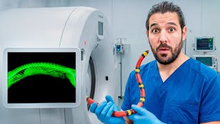 Así se Curan los Animales Más Raros de España | Hospital Animal #1