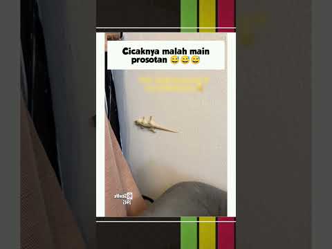 malah main prosotan #meme