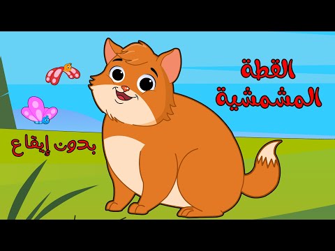 اغنية القطه المشمشيه حلوه بس شقيه بدون ايقاع | اغاني اطفال بون بون