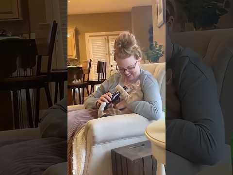 Cats copy 🐱😂 #funny #cat #pet #funnyvideo #kitten #fyp #cats #usa