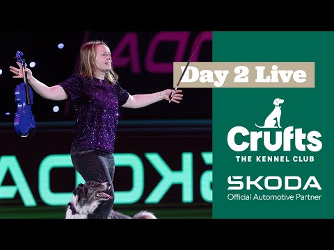 Day 2 LIVE | Crufts 2025